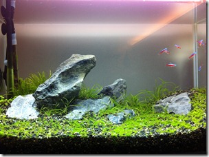 25.1.20