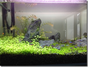 25.4.2