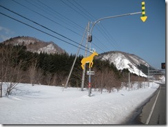 DSCN4167