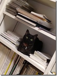 本の間に。。。