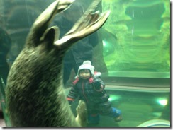 動物園