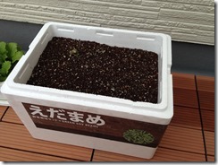 家庭菜園
