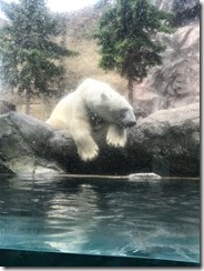 初めての動物園