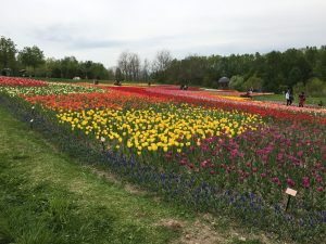 公園巡り