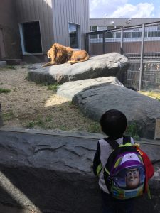 円山動物園