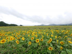 2泊3日　総走行距離1,000kmくらい・・・