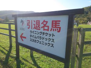 無事之名馬・・・ですね☆