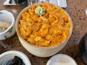うに　ついでにうみ