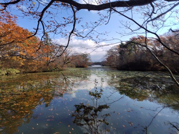 紅葉狩り