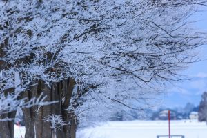 雪に負けない家づくりをしましょう！雪に強い家とはどんな家？