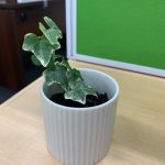 デスクの片隅に