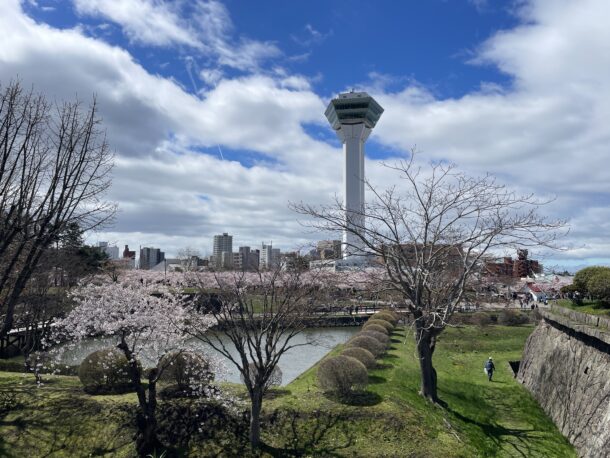 さくらの季節