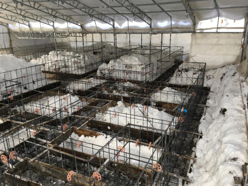 基礎工事（配筋検査）