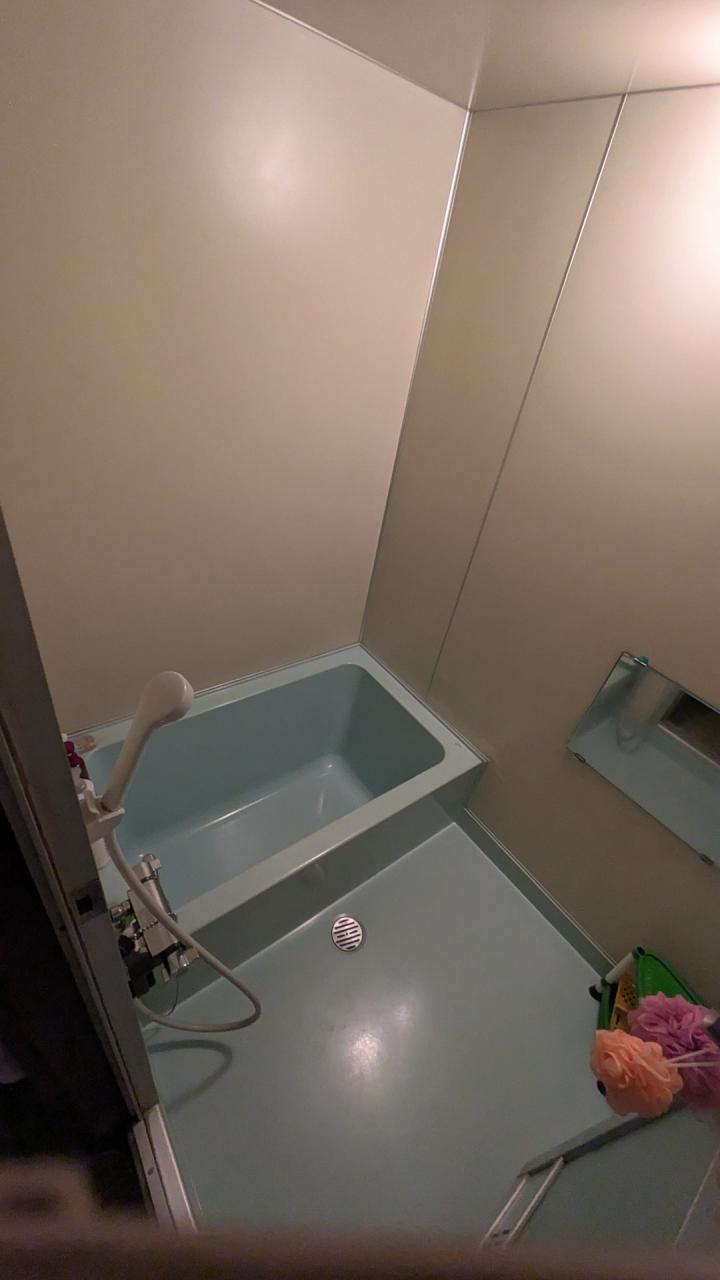 バスルーム：リフォーム前の浴室