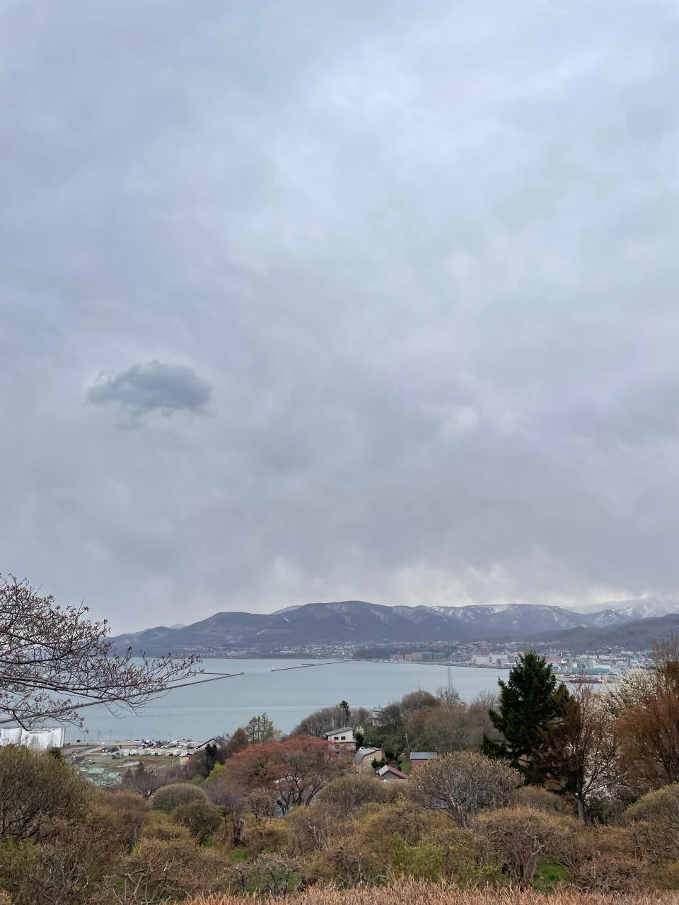 お花見しに小樽へ！🌸