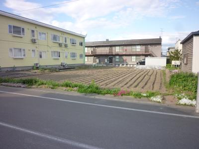 現地写真
